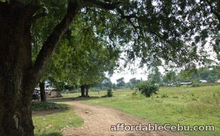 2nd picture of 620 sqm lot for sale in catarman liloan cebu For Sale in Cebu, Philippines
