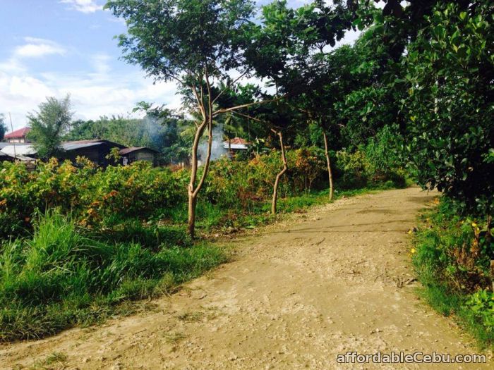 5th picture of Lot for sale in liloan For Sale in Cebu, Philippines