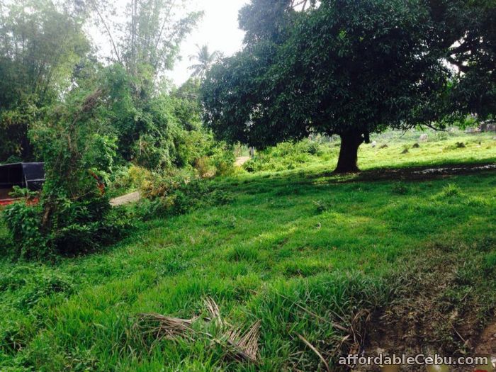 2nd picture of Lot for sale in liloan For Sale in Cebu, Philippines