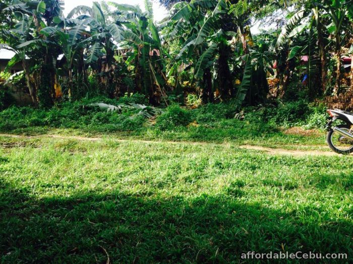4th picture of Lot for sale in liloan For Sale in Cebu, Philippines