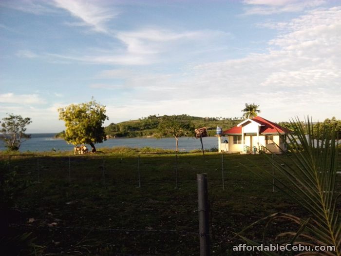1st picture of Beautiful Beach lot for sale in Badian For Sale in Cebu, Philippines