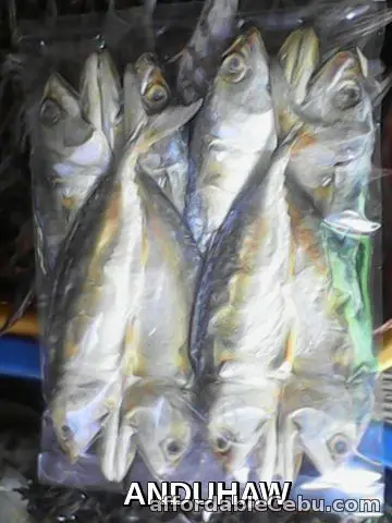 1st picture of Anduhaw For Sale in Cebu, Philippines
