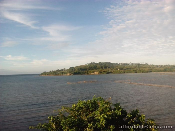 3rd picture of Beautiful Beach lot for sale in Badian For Sale in Cebu, Philippines