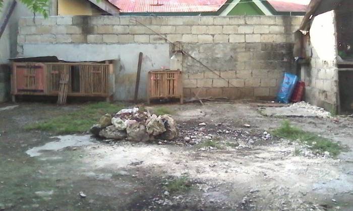 1st picture of Vacant lot along the road in Basak, Lapu-Lapu City For Sale in Cebu, Philippines
