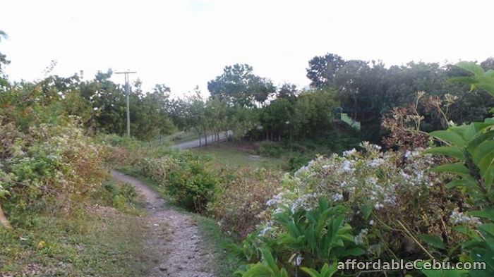 3rd picture of St. Francis Hills, Lot Only, Tolotolo, Consolacion, Cebu For Sale in Cebu, Philippines