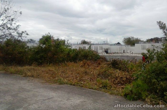 2nd picture of Subdivision lot in suba masulog For Sale in Cebu, Philippines