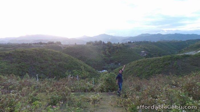 5th picture of St. Francis Hills, Lot Only, Tolotolo, Consolacion, Cebu For Sale in Cebu, Philippines