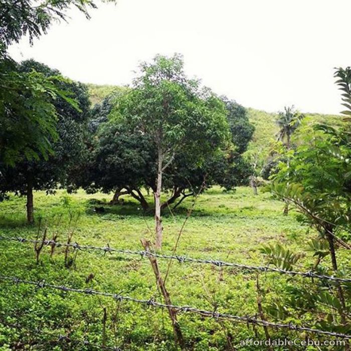 2nd picture of DELINO Meadows Subdivision in Compostela lot for sale For Sale in Cebu, Philippines