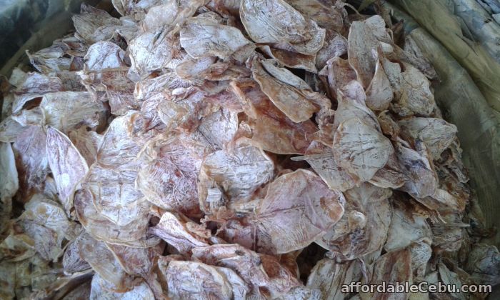 1st picture of DRIED FISH FOR SALE PER GRAMS/KILO For Sale in Cebu, Philippines