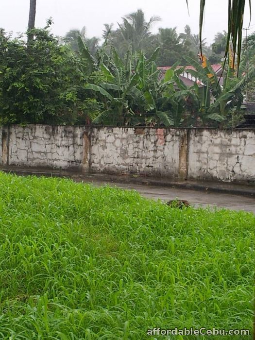 2nd picture of For Sale 231sqm Residential Lot in Talisay City For Sale in Cebu, Philippines