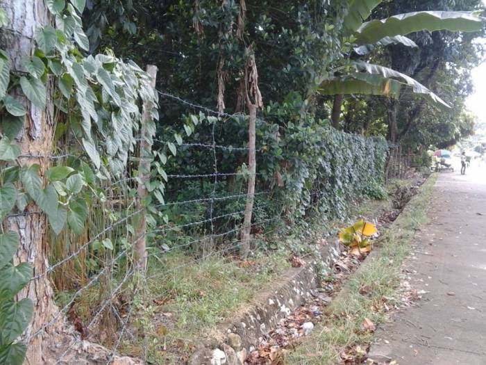 2nd picture of Titled Commercial Lot in Center Poblacion, Sibonga, Cebu For Sale. For Sale in Cebu, Philippines