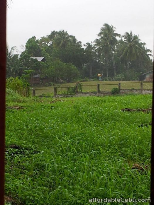 1st picture of For Sale 231sqm Residential Lot in Talisay City For Sale in Cebu, Philippines