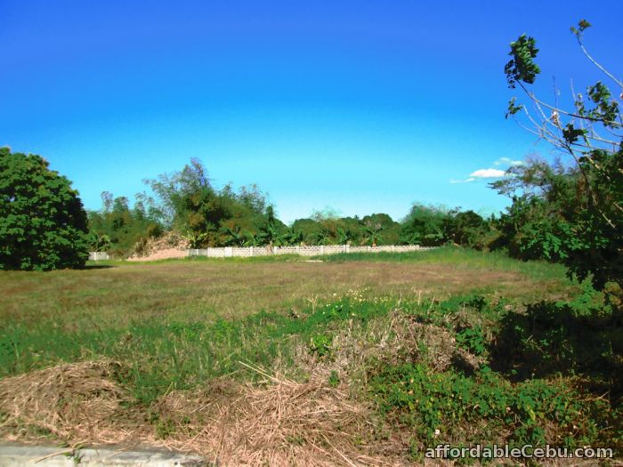 5th picture of Affordable Lot for Sale Rio De Oro Estates For Sale in Cebu, Philippines