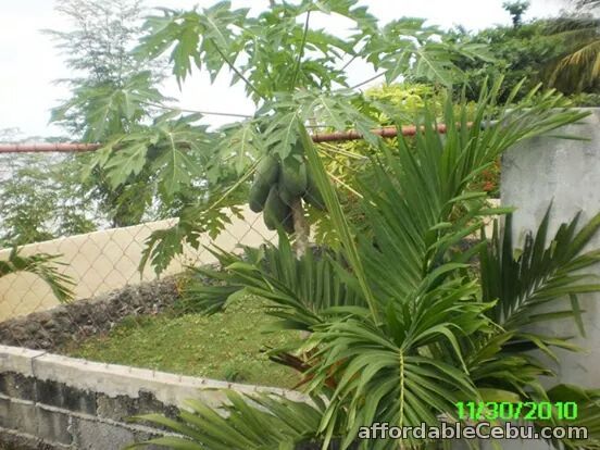 2nd picture of Beach front home...Beautiful!! For Sale in Cebu, Philippines
