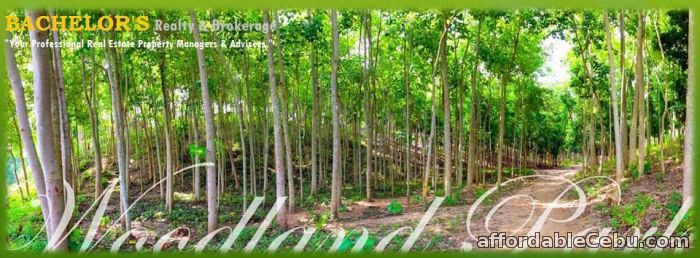 5th picture of House and lot for as low as 630/day in Woodland Park Liloan 09324592312 For Sale in Cebu, Philippines