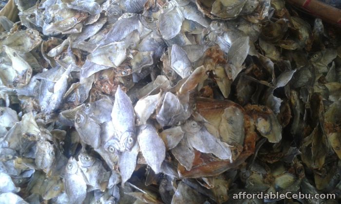 3rd picture of DRIED FISH DEALER For Sale in Cebu, Philippines