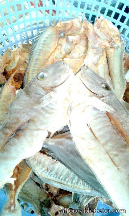 1st picture of Dried fish big (Danggit) For Sale in Cebu, Philippines