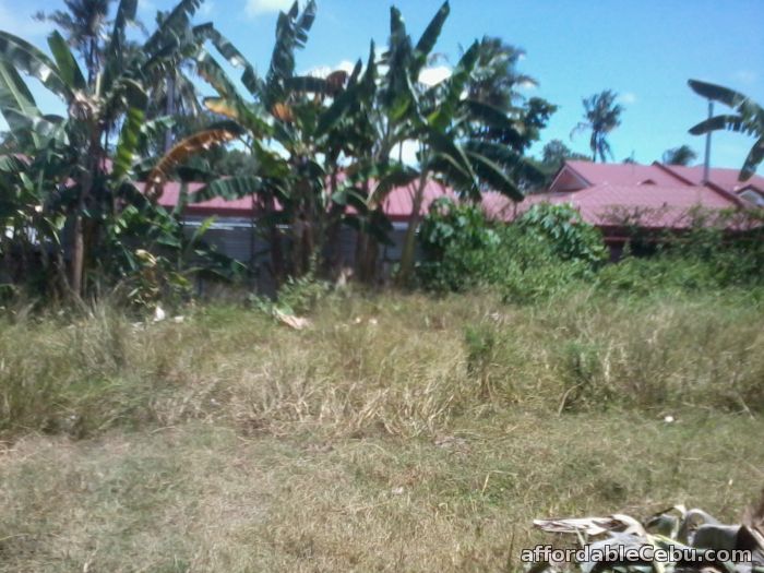 2nd picture of CONSOLACION 150sqm-200sqm LOTS FOR SALE/RENT, CLEAN TITLE For Sale in Cebu, Philippines