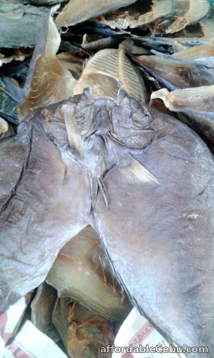 2nd picture of Dried fish big (Danggit) For Sale in Cebu, Philippines