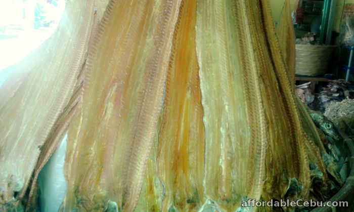 5th picture of Dried fish big (Danggit) For Sale in Cebu, Philippines