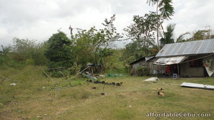 3rd picture of RUSH SALE! House and Lot for Sale in Moalboal, Cebu – PRICE 700,000 PHP! For Sale in Cebu, Philippines
