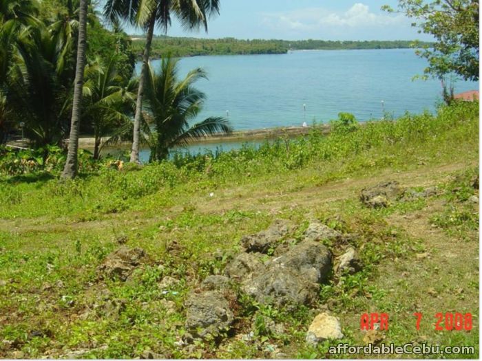 1st picture of For Sale Lot overlooking Sogod Bay For Sale in Cebu, Philippines