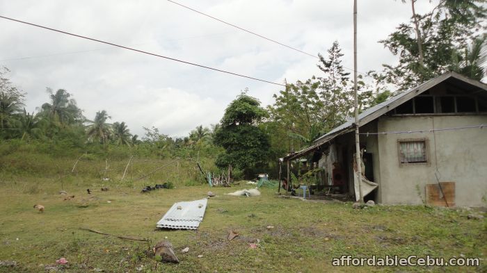 2nd picture of RUSH SALE! House and Lot for Sale in Moalboal, Cebu – PRICE 700,000 PHP! For Sale in Cebu, Philippines