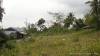 RUSH SALE! House and Lot for Sale in Moalboal, Cebu – PRICE 700,000 PHP!