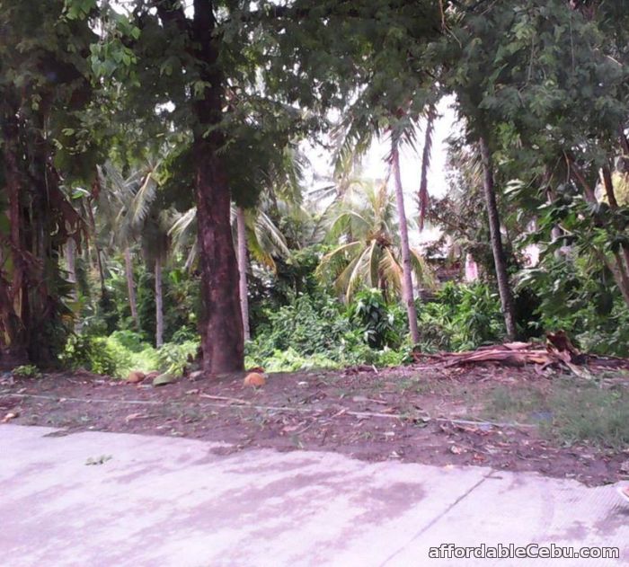 2nd picture of Selling Commercial/Residential Lot a few walks away from Gaisano Minglanilla For Sale in Cebu, Philippines