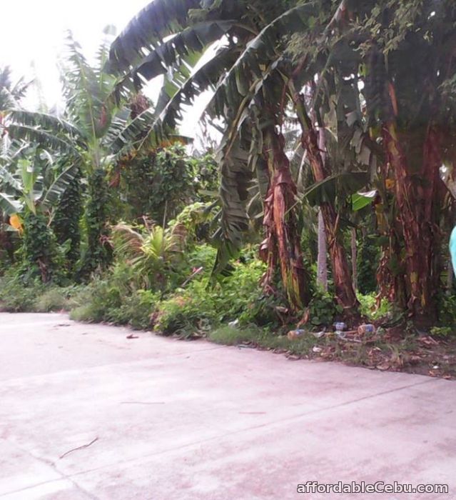 1st picture of Selling Commercial/Residential Lot a few walks away from Gaisano Minglanilla For Sale in Cebu, Philippines