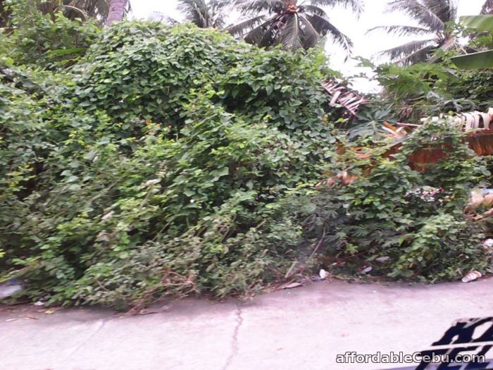 3rd picture of Selling Commercial/Residential Lot a few walks away from Gaisano Minglanilla For Sale in Cebu, Philippines
