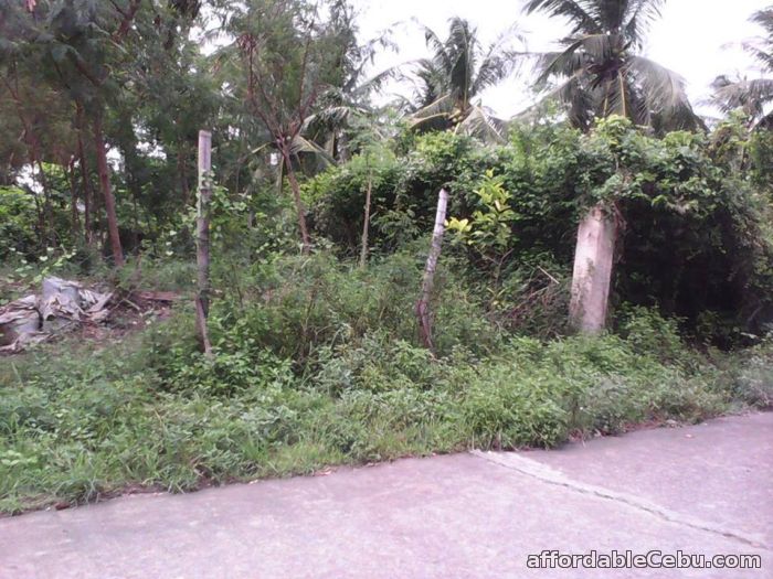4th picture of Selling Commercial/Residential Lot a few walks away from Gaisano Minglanilla For Sale in Cebu, Philippines
