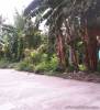 Selling Commercial/Residential Lot a few walks away from Gaisano Minglanilla