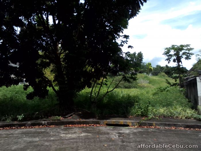 1st picture of Lot for sale 324sq.m. Royal Cebu Estate, Casili Consolacion Cebu For Sale in Cebu, Philippines