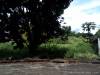 Lot for sale 324sq.m. Royal Cebu Estate, Casili Consolacion Cebu