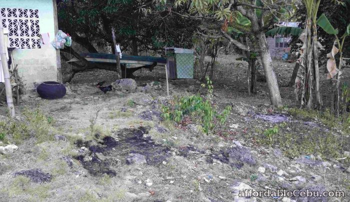 3rd picture of Along National Highway Lot for Sale For Sale in Cebu, Philippines