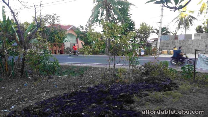 1st picture of Along National Highway Lot for Sale For Sale in Cebu, Philippines