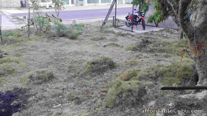 2nd picture of Along National Highway Lot for Sale For Sale in Cebu, Philippines