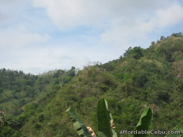 5th picture of 8 hectares Lot for sale in Toledo City Cebu 09233983560 For Sale in Cebu, Philippines