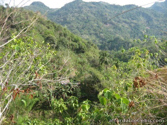 2nd picture of 8 hectares Lot for sale in Toledo City Cebu 09233983560 For Sale in Cebu, Philippines