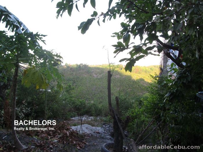 5th picture of Lot Only for Sale Overlooking and Downhill Lot For Sale in Cebu, Philippines