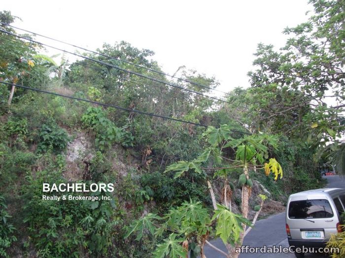 4th picture of Lot Only for Sale Overlooking and Downhill Lot For Sale in Cebu, Philippines