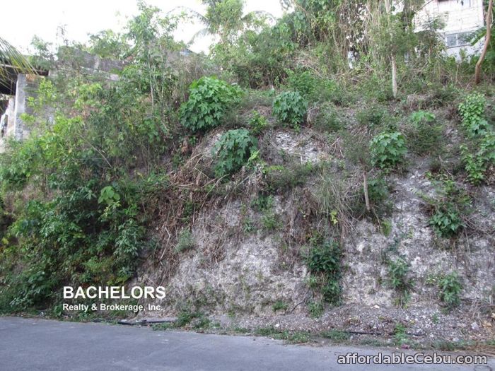 3rd picture of Lot Only for Sale Overlooking and Downhill Lot For Sale in Cebu, Philippines