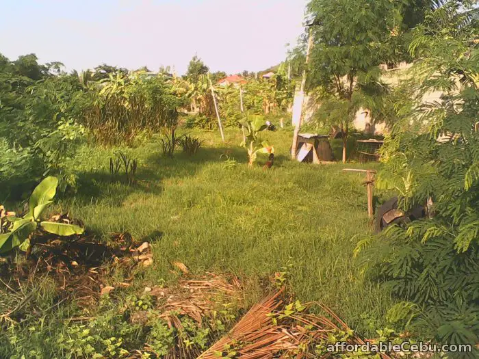 1st picture of Cheap 203 sq. meters residential lot in Tuyan, Naga For Sale in Cebu, Philippines