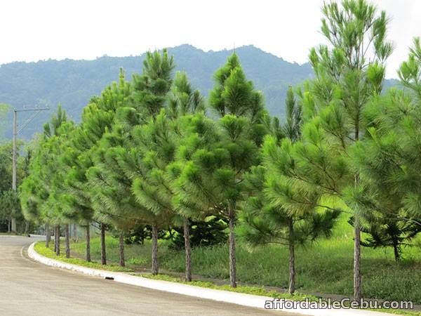 3rd picture of Ready For Occupancy Riverdale Camella Sapphire Model For Sale in Cebu, Philippines 3rd picture of Ready For Occupancy Riverdale Camella Sapphire Model For Sale in Cebu, Philippines