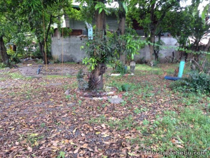 4th picture of Rush sale: Residential Lot inside Ramona Village Talisay For Sale in Cebu, Philippines
