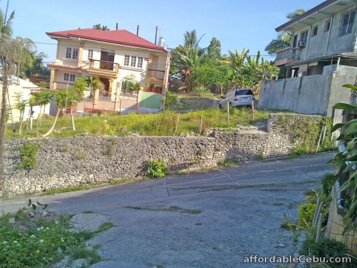 2nd picture of 246 sqm. over-looking lot at Basak Ibabao, Cebu City For Sale @ P1.8M only. For Sale in Cebu, Philippines