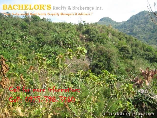 1st picture of 2.2 million 8 hectares Lot for sale in Toledo City Cebu For Sale in Cebu, Philippines