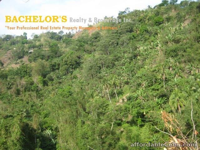 4th picture of 2.2 million 8 hectares Lot for sale in Toledo City Cebu For Sale in Cebu, Philippines