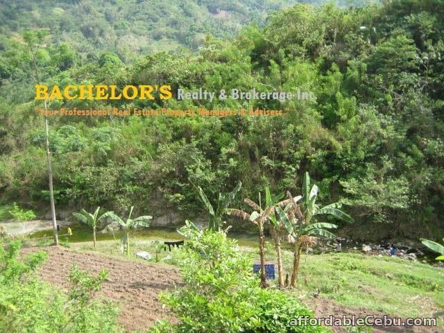 2nd picture of 2.2 million 8 hectares Lot for sale in Toledo City Cebu For Sale in Cebu, Philippines